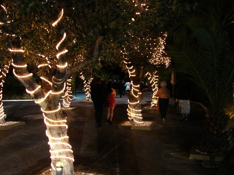 DSC03143.JPG - Athenian Dreams (Galadinner)