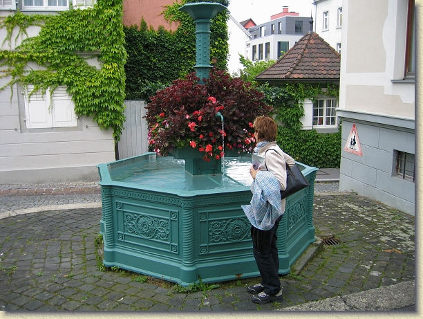 N&auml;chstes Bild