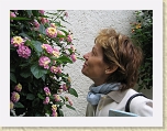 IMG_0771 * 2592 x 1944 * (1.5MB)