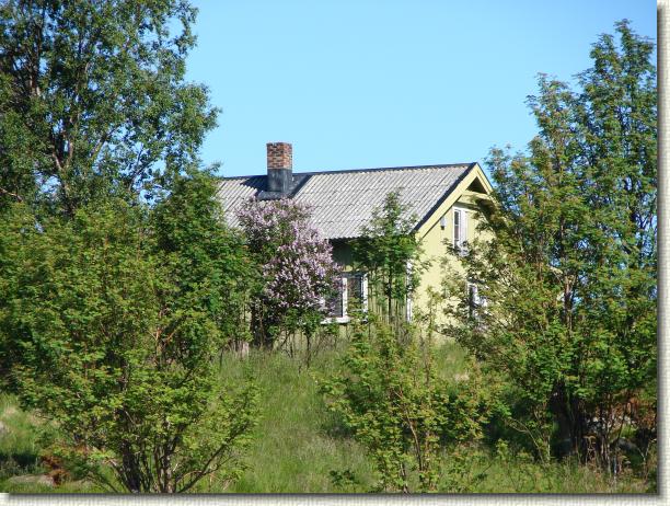 N&auml;chstes Bild