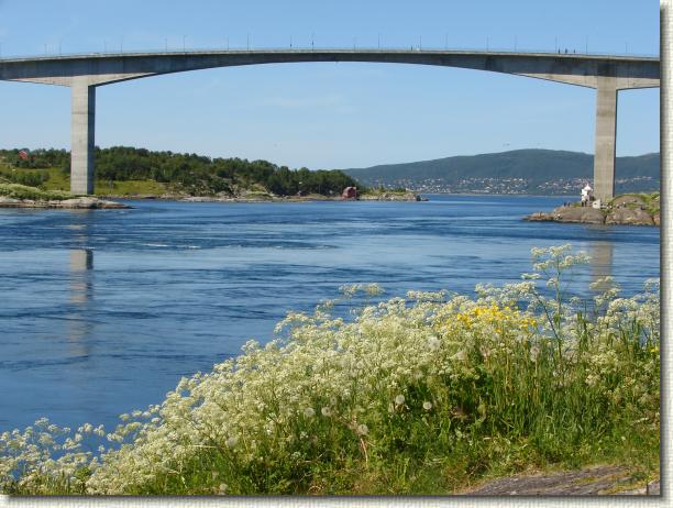 N&auml;chstes Bild