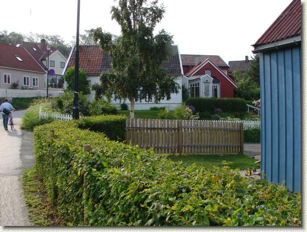 N&auml;chstes Bild