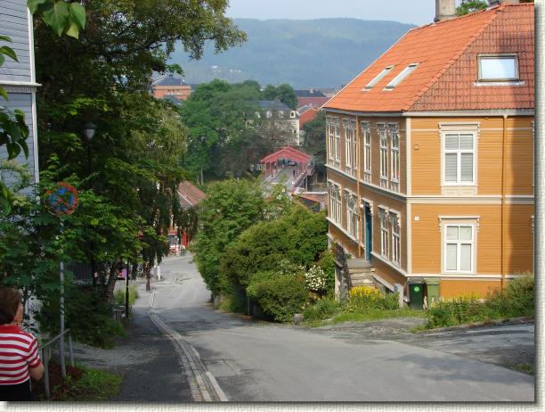 N&auml;chstes Bild