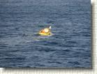 DSC00278 * 2816 x 2112 * (2.83MB)