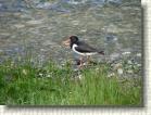 DSC00360 * 2816 x 2112 * (2.72MB)