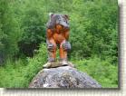 DSC00406 * 2816 x 2112 * (2.73MB)