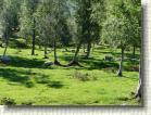 DSC00497 * 2816 x 2112 * (2.9MB)