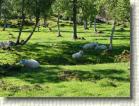DSC00498 * 2816 x 2112 * (2.87MB)