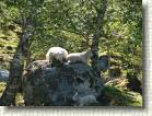 DSC00499 * 2816 x 2112 * (2.87MB)