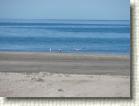 DSC00517 * 2816 x 2112 * (2.6MB)