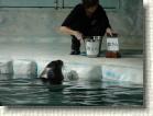 DSC00637 * 2816 x 2112 * (2.84MB)