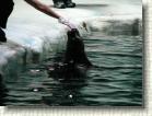 DSC00638 * 2816 x 2112 * (2.53MB)