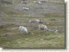 DSC00708 * 2816 x 2112 * (2.77MB)