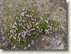 DSC00726 * 2816 x 2112 * (2.75MB)