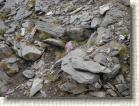 DSC00735 * 2816 x 2112 * (2.96MB)