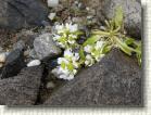 DSC00737 * 2816 x 2112 * (2.72MB)