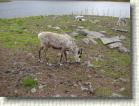 DSC00748 * 2816 x 2112 * (2.73MB)