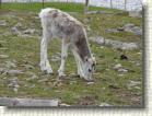 DSC00749 * 2816 x 2112 * (2.82MB)