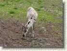 DSC00751 * 2816 x 2112 * (2.66MB)