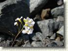 DSC00841 * 2816 x 2112 * (2.16MB)