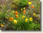 DSC00848 * 2816 x 2112 * (2.81MB)