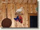 DSC00937 * 2816 x 2112 * (2.77MB)
