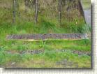 DSC00938 * 2816 x 2112 * (2.8MB)