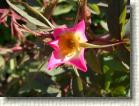 DSC01072 * 2816 x 2112 * (2.54MB)