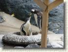 DSC01209 * 2816 x 2112 * (2.91MB)