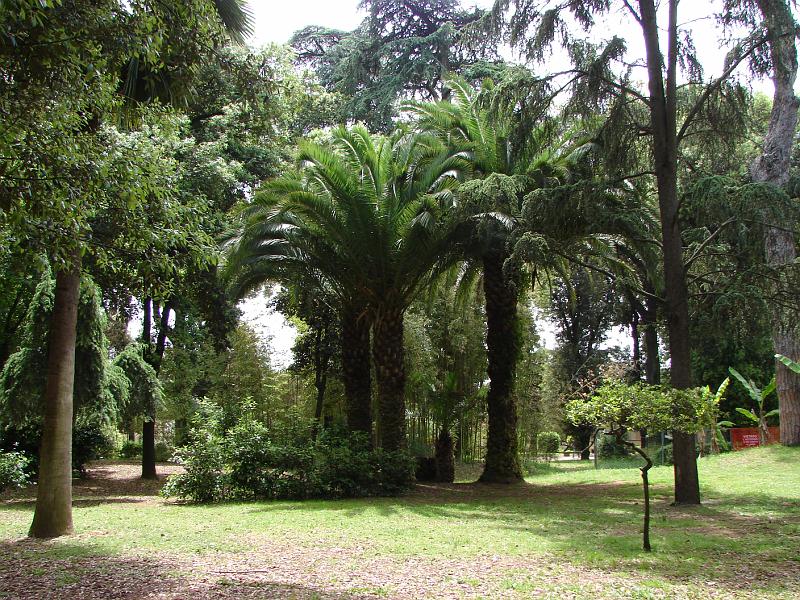 DSC02731.JPG -  Villa Borghese 