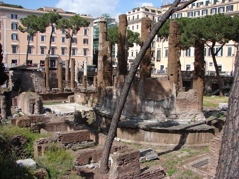 DSC02757.JPG -  Largo di Torre Argentina 