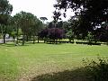 DSC02729