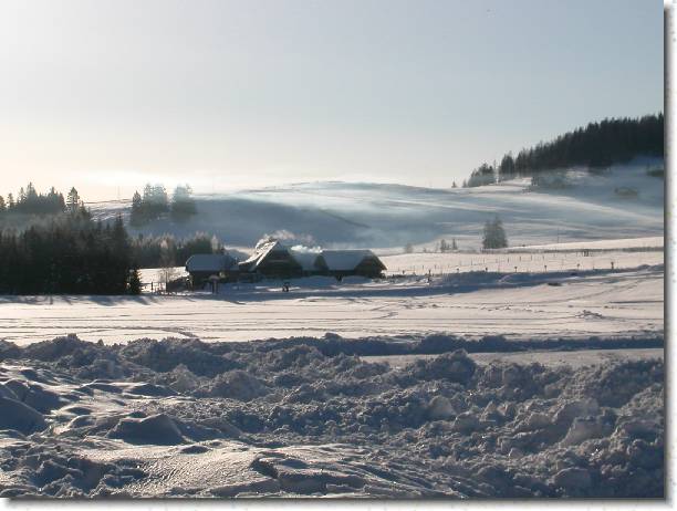 N�chstes Bild