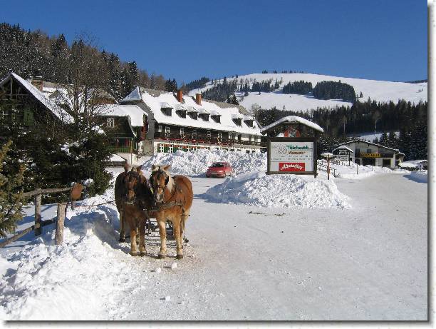 N�chstes Bild