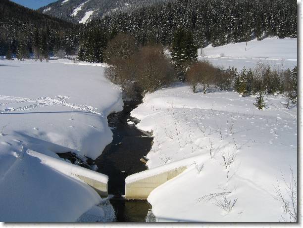N�chstes Bild
