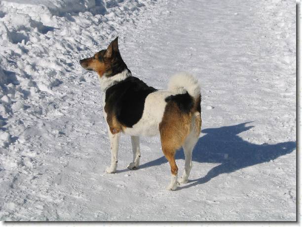 N�chstes Bild