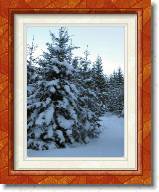 DSCN0726 * Teichalm * 1200 x 1600 * (1.31MB)