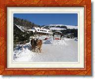 IMG_0624 * Pferdekutsche * 2592 x 1944 * (1.58MB)