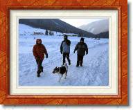 IMG_0642 * Spaziergang (Uschi, Susi, Andreas, Babsy) * 2592 x 1944 * (3.46MB)