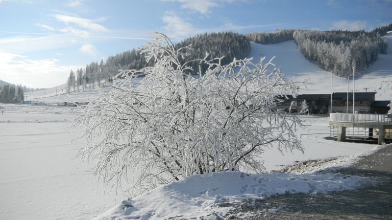 DSCN1021.JPG