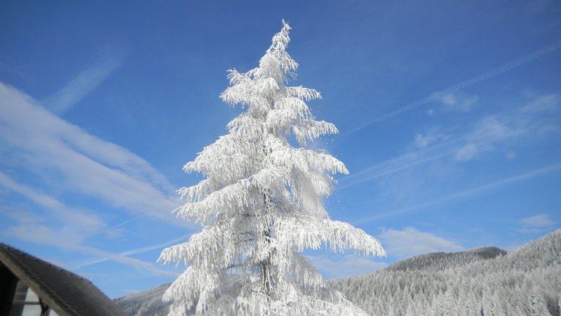 DSCN1023.JPG