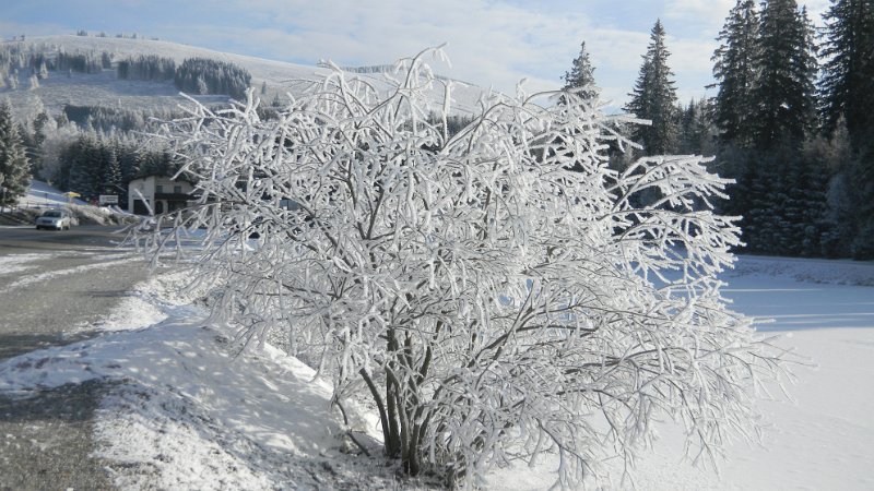 DSCN1024.JPG