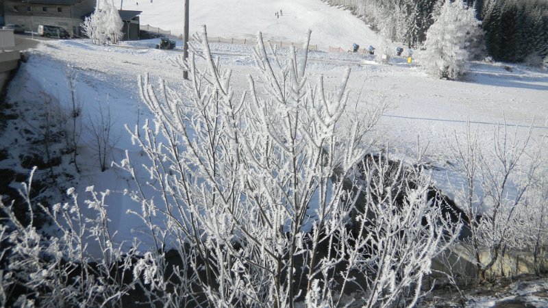 DSCN1026.JPG