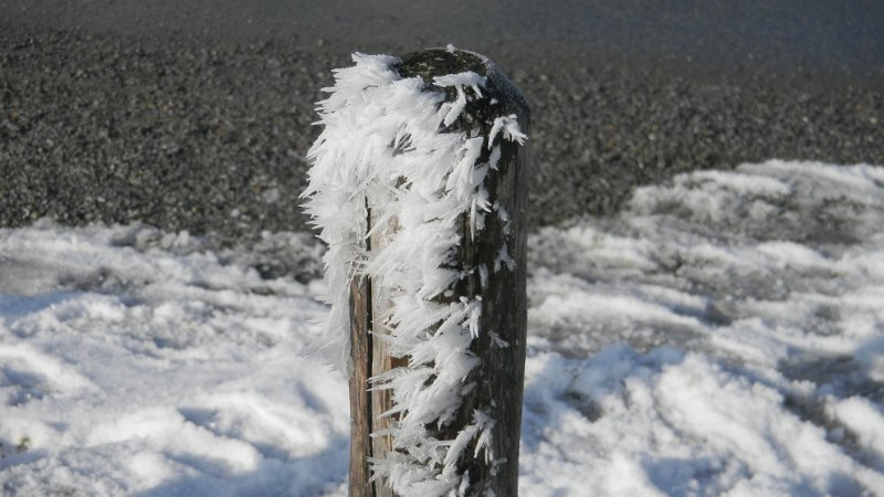 DSCN1027.JPG