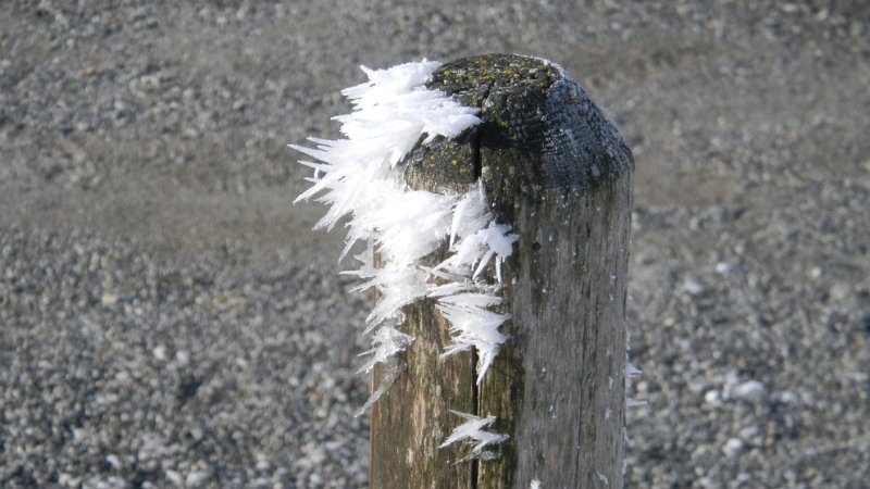 DSCN1028.JPG