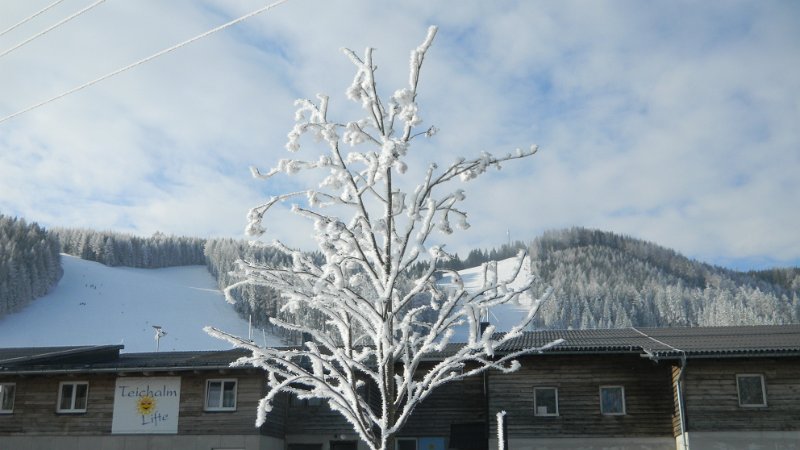 DSCN1029.JPG