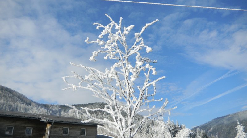 DSCN1030.JPG
