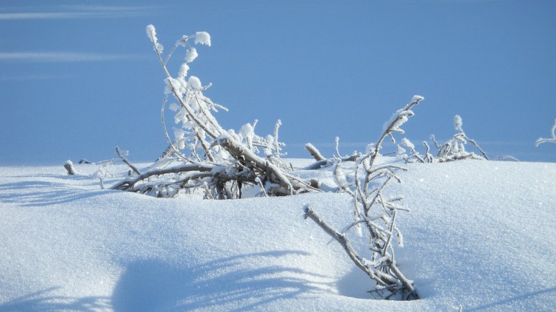 DSCN1046.JPG