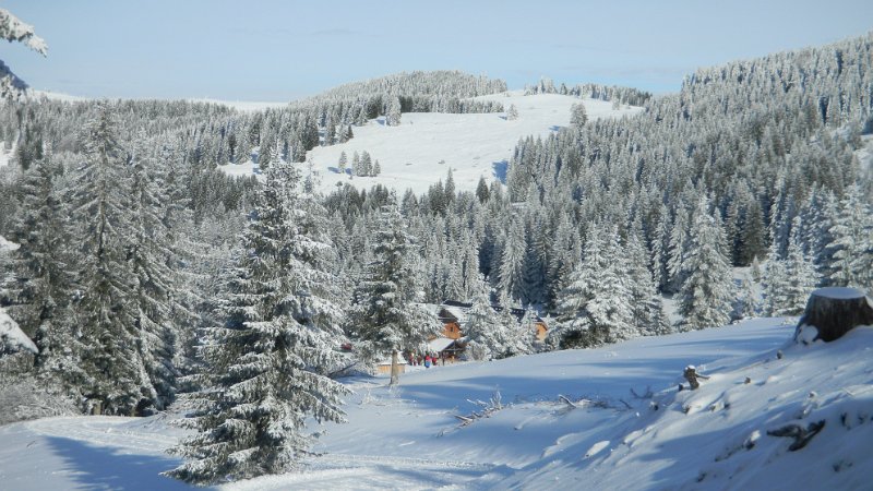 DSCN1047.JPG