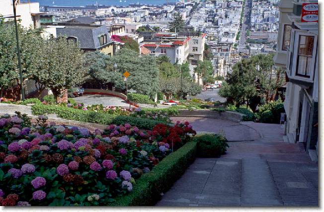 N�chstes Bild